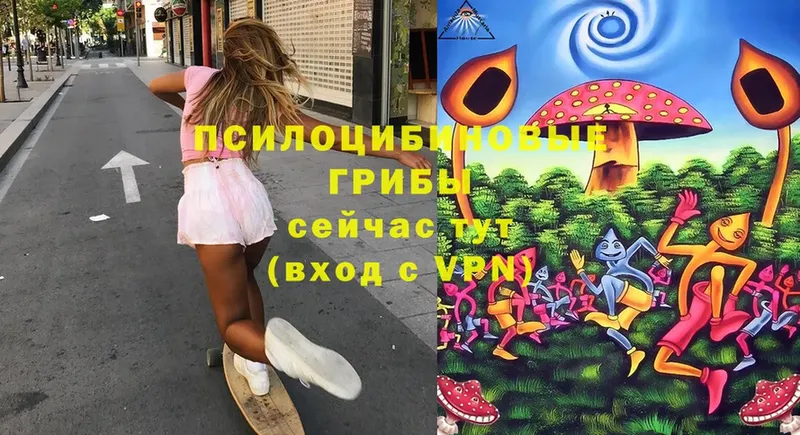 omg   Всеволожск  Псилоцибиновые грибы Psilocybe  цены  